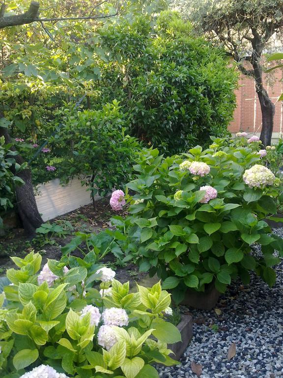 Eco B&B I Due Oleandri Марина-ді-Каррара Екстер'єр фото