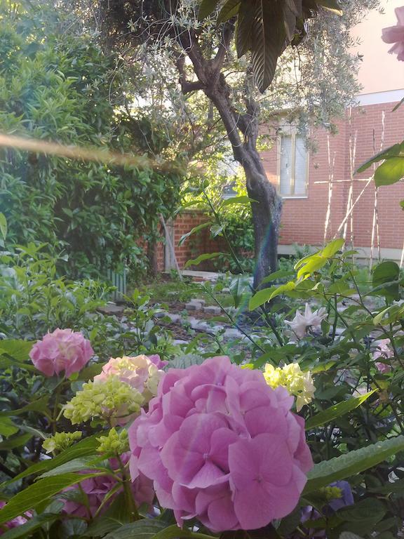 Eco B&B I Due Oleandri Марина-ді-Каррара Екстер'єр фото